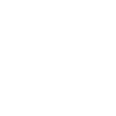 scale
