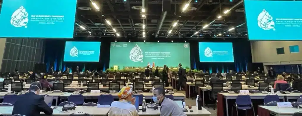 UN COP-15 Biodiversity Plenary Room