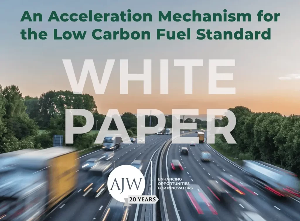 White paper on low carbon fuel