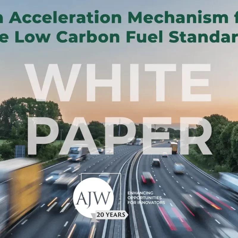 White paper on low carbon fuel